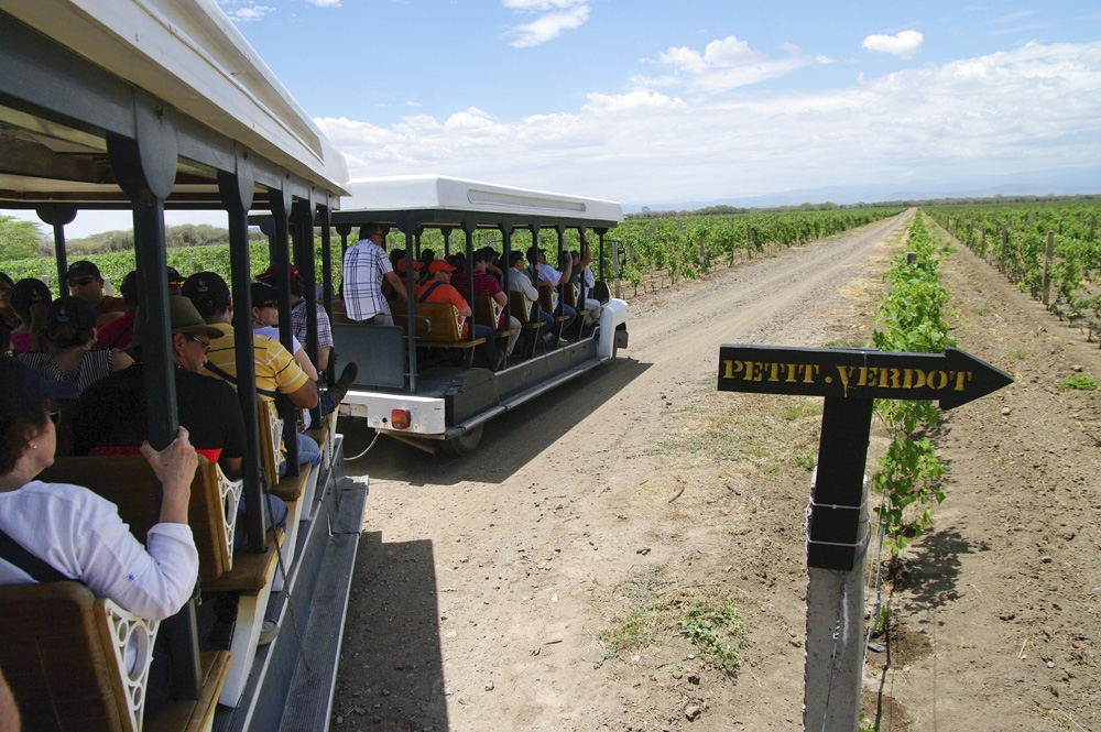 Bodegas Pomar Abre Inscripciones Para Su Primera Vendimia De