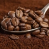 Ingresos por la exportación de café sufren una caída del 35,2% en El Salvador