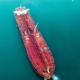 El punto débil de Rusia: Detectan 15 buques que transportan «petróleo fantasma» ruso