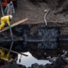 Petroecuador confirmó rotura de tubería y vertido tóxico en río amazónico