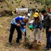 6 programas ambientales: Venezuela busca ampliar la protección forestal para combatir la deforestación