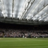 Un incremento del 14,9%: Wimbledon ofrece alrededor de 3,34 millones de dólares a los campeones