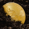 Terremoto en las criptomonedas: bitcoin se desploma y rompe todos los soportes