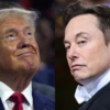 Trump y Elon Musk: Una asociación sin límites podría estar a la vista