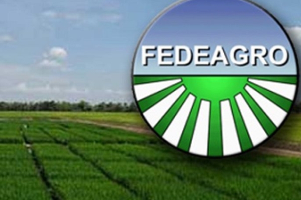 Fedeagro aboga por la verificación y publicación de actas electorales