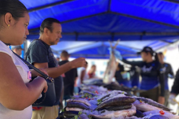 Más de 500 mil toneladas de pescado a bajo costo se distribuyeron en Miranda de febrero a julio