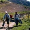 Red Agroalimentaria: en zonas rurales incrementó el comercio especulativo con productos de contrabando