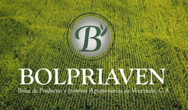 Bolpriaven concluye Curso de Formación de Corredor de Productos Agrícolas