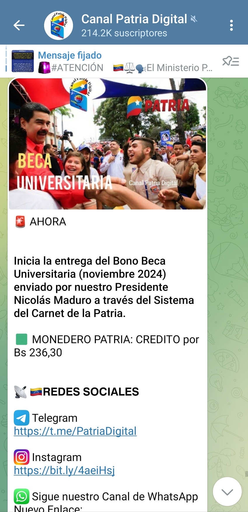 Pagaron el bono «Beca Universitaria» de noviembre: Tuvo un incremento del 16% (+monto)