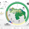 Venezuela ha perdido más de 41.000 kilómetros cuadrados de cobertura natural