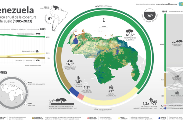 Venezuela ha perdido más de 41.000 kilómetros cuadrados de cobertura natural