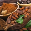 Fijan precios en bandas para comercialización del cacao nacional con precio base de US$10 mil por tonelada