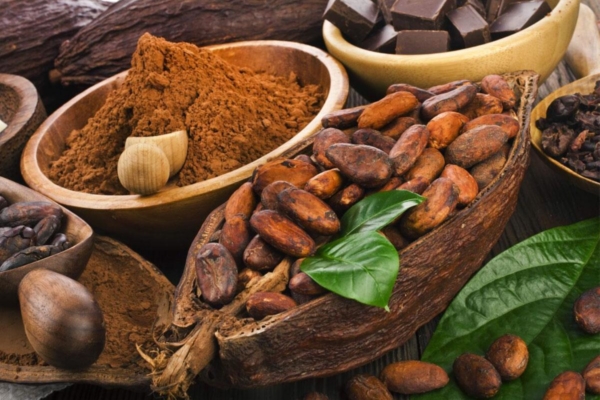 Fijan precios en bandas para comercialización del cacao nacional con precio base de US$10 mil por tonelada