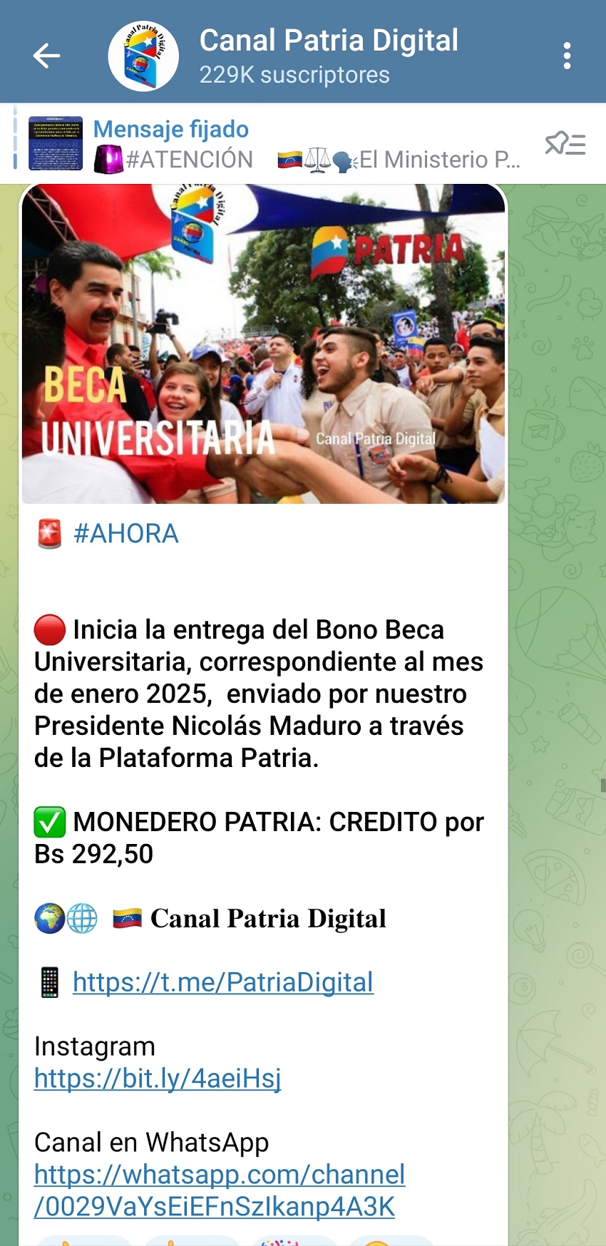 Incrementaron 10%: Pagan bonos «Beca Universitaria» y «Beca Enseñanza Media» de enero de 2025 (+montos)