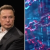 Elon Musk explora el uso de blockchain para mejorar la eficiencia del Gobierno de EEUU