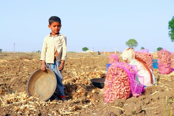 Gigantes internacionales de la moda usan algodón producto de la explotación infantil en India