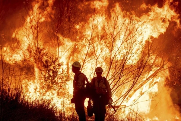 Vientos amenazan con intensificar incendios en Los Ángeles que ya han causado 24 muertos