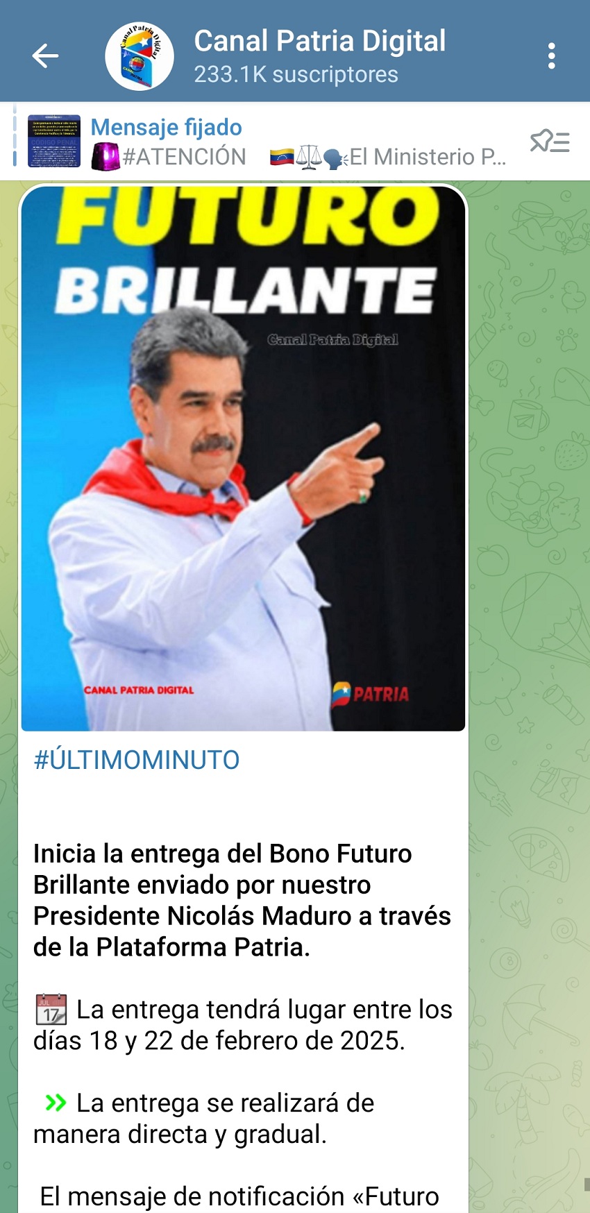 Pagan el bono «Futuro Brillante» por US$ 4,66 a través de la Plataforma Patria (+detalles)