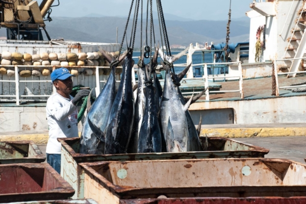 Paralización de la pesca industrial arrastra a la economía de Sucre, advierte gremio